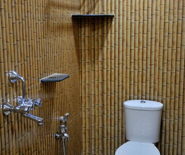 Jessicas Lavish Living, Goa 4